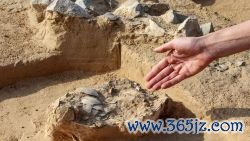 Lauren Davis, excavation manager of the southern district at the Israel Antiquities Authority (IAA), shows discovered ostrich egg fragments dating over 4000 years old next to an ancient fire pit at a site in the dunes near Nitzana along the Israel-Egypt border in the western Negev desert on January 12, 2023. (Photo by GIL COHEN-MAGEN / AFP) (Photo by GIL COHEN-MAGEN/AFP via Getty Images)