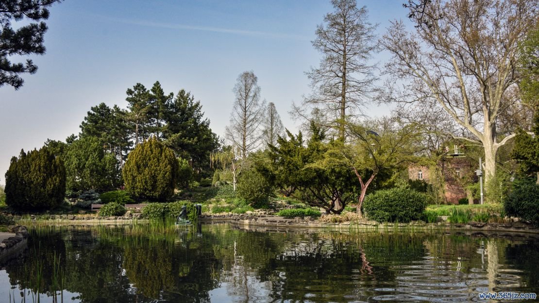 Japanese Gardens -- a beautiful, tranquil spot.