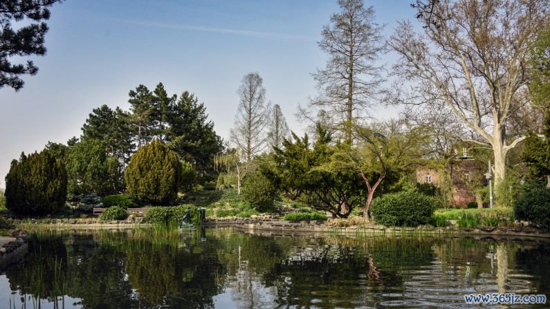 Japanese Garden: Located near the northern tip of the island, the Japanese Gardens hold a fish pond, dwarf trees, rock garden and an artificial waterfall.