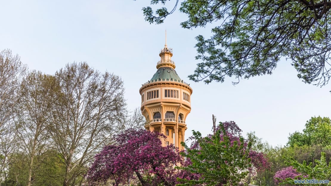 The octagonal water tower boasts an observation deck.  