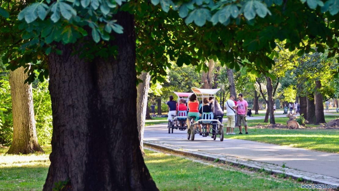 Visitors can rent a bike, bringo carts or golf buggy to experience Margaret Island on wheels.