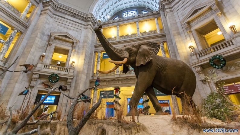 11. National Museum of Natural History, Washington: This Smithsonian museum houses more than 126 million specimens and cultural artifacts, including 30 million insects and 400,000 photographs.