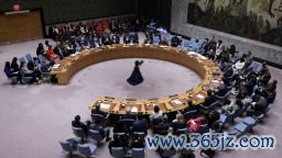 The United Nations Security Council